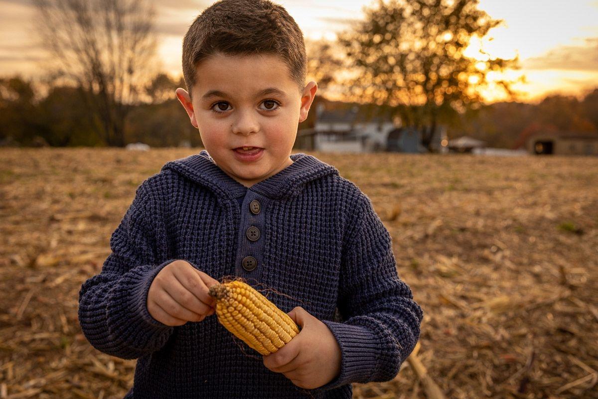 carousel-hero-element image-6